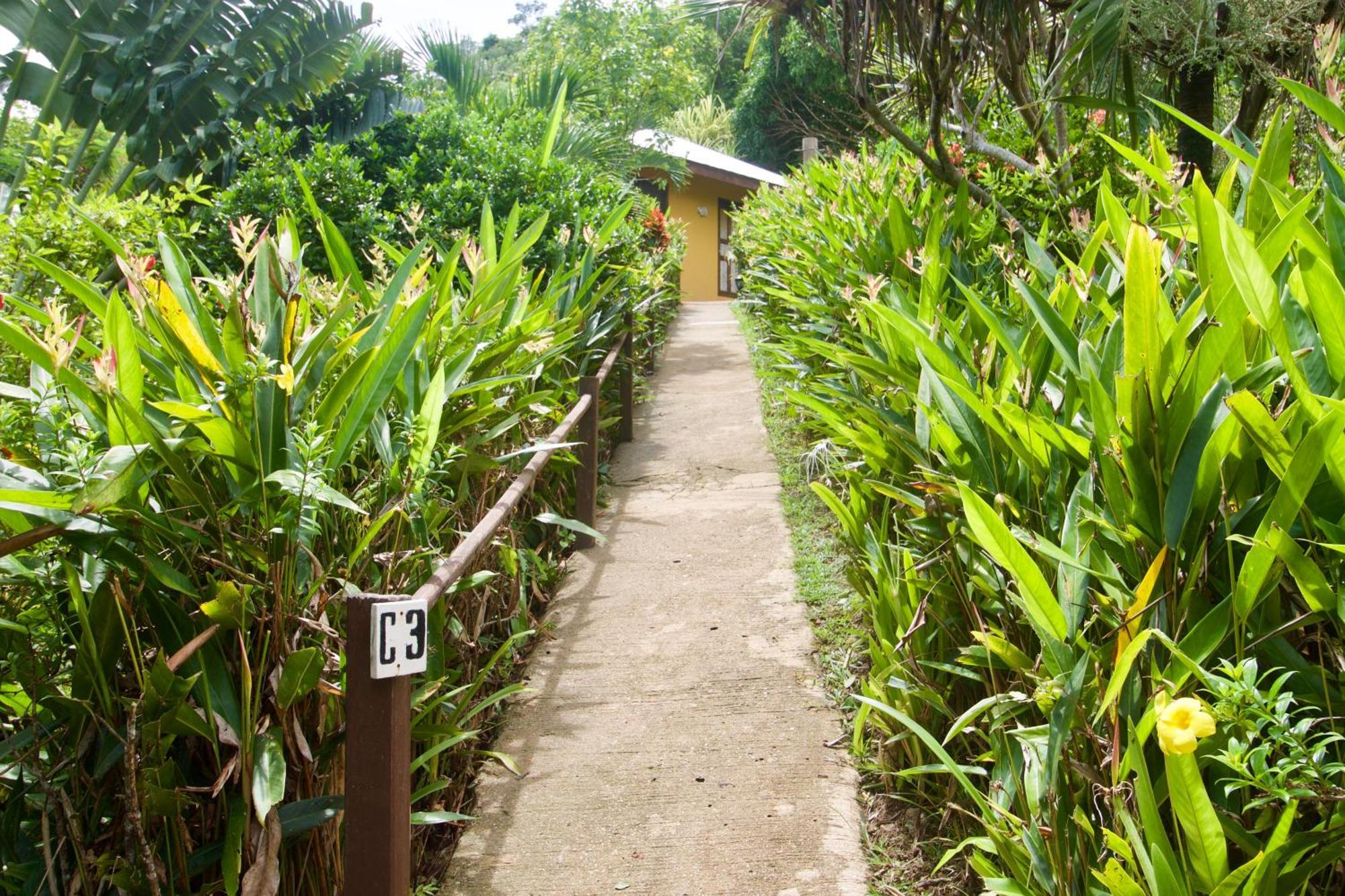 Casa Rosa Inn And Restaurant 泰泰 外观 照片